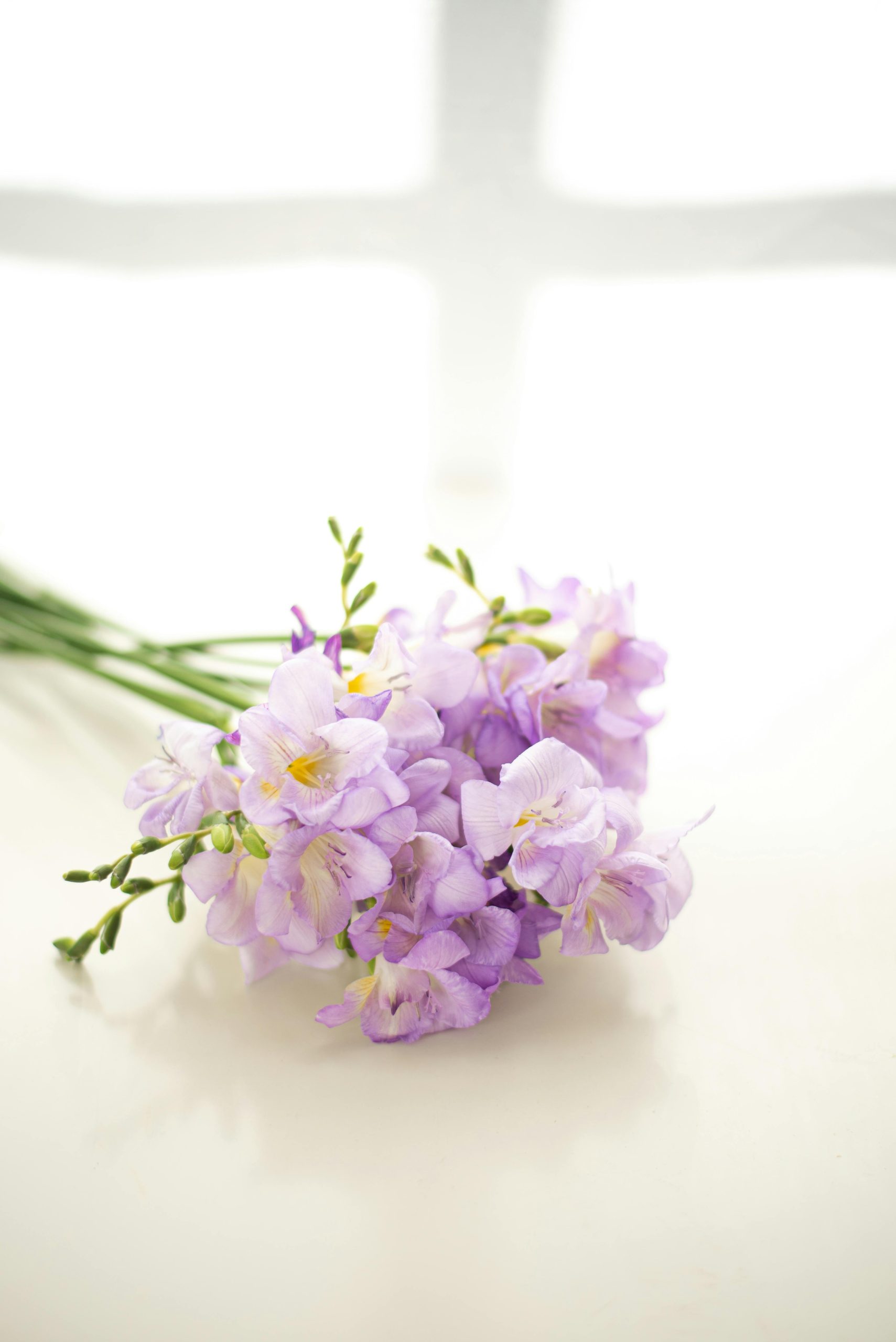 A soft, elegant purple freesia bouquet elegantly arranged on a bright white surface, ideal for floral photography.